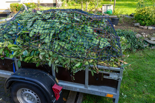 Best Commercial Junk Removal  in Wewahitchka, FL
